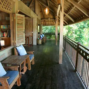 artist-eco-villa-with-wood-and-clay.ubudhotelsnow.com/